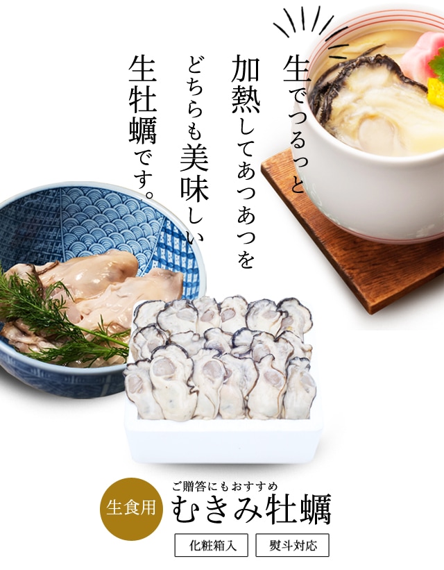 お届け3月31日迄】[鍛え牡蠣]広島牡蠣老舗の味!特選 むき身牡蠣500g[生