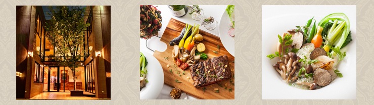 【torata】　フェーブ　250個　セット Webike | ZETA ジータ ピボットレバーセット CP 3フィンガー 可倒式 TT