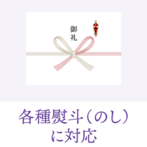 各種熨斗に対応