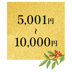 5001円～10000円