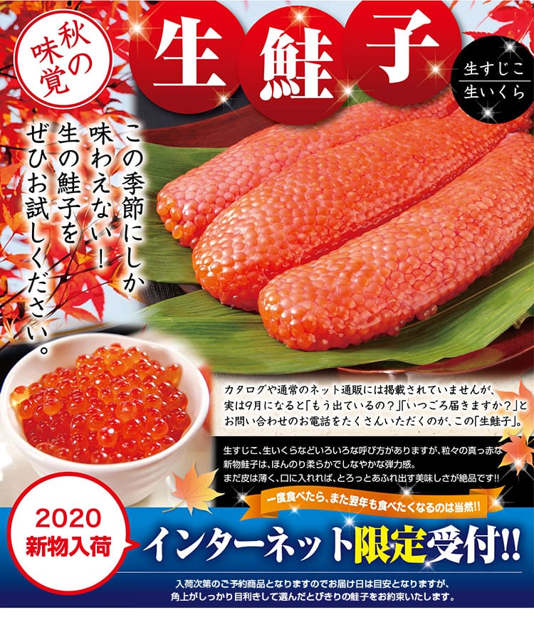 ラスト1袋　キンケシ19　工場出荷状態の1袋(50個入り) キンケシ19 工場出荷状態の1袋(50個入り) キンケシ19 工場出荷状態