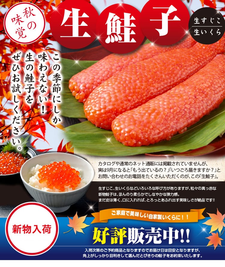 秋限定】 生鮭子 計500g | 全国全品送料込 | 【角上魚類 海鮮ギフト】