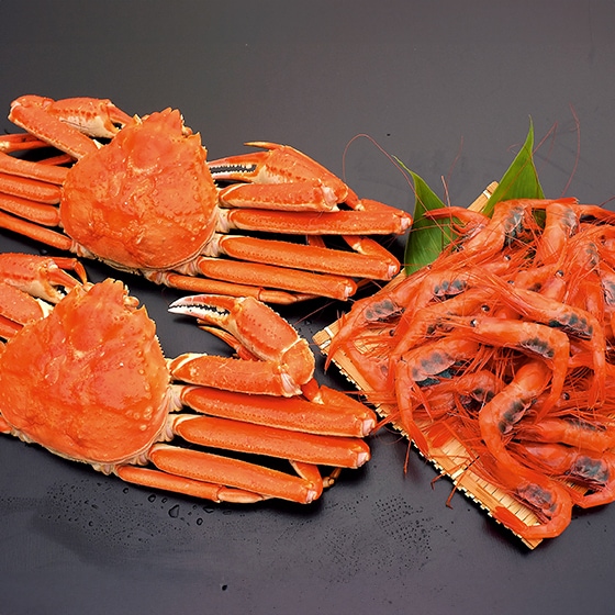 ���ˡ����ӥ��å�