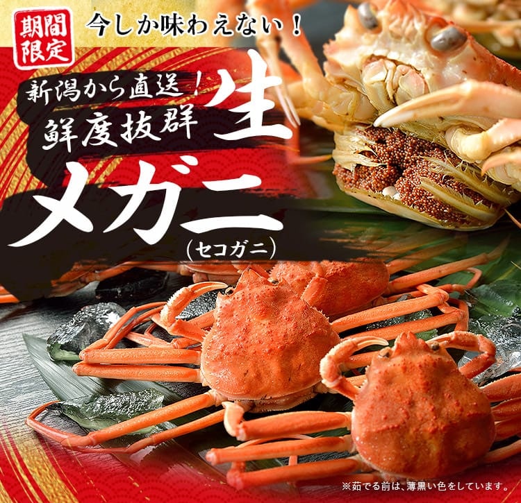 �ᥬ�ˡʥ������ˡ�