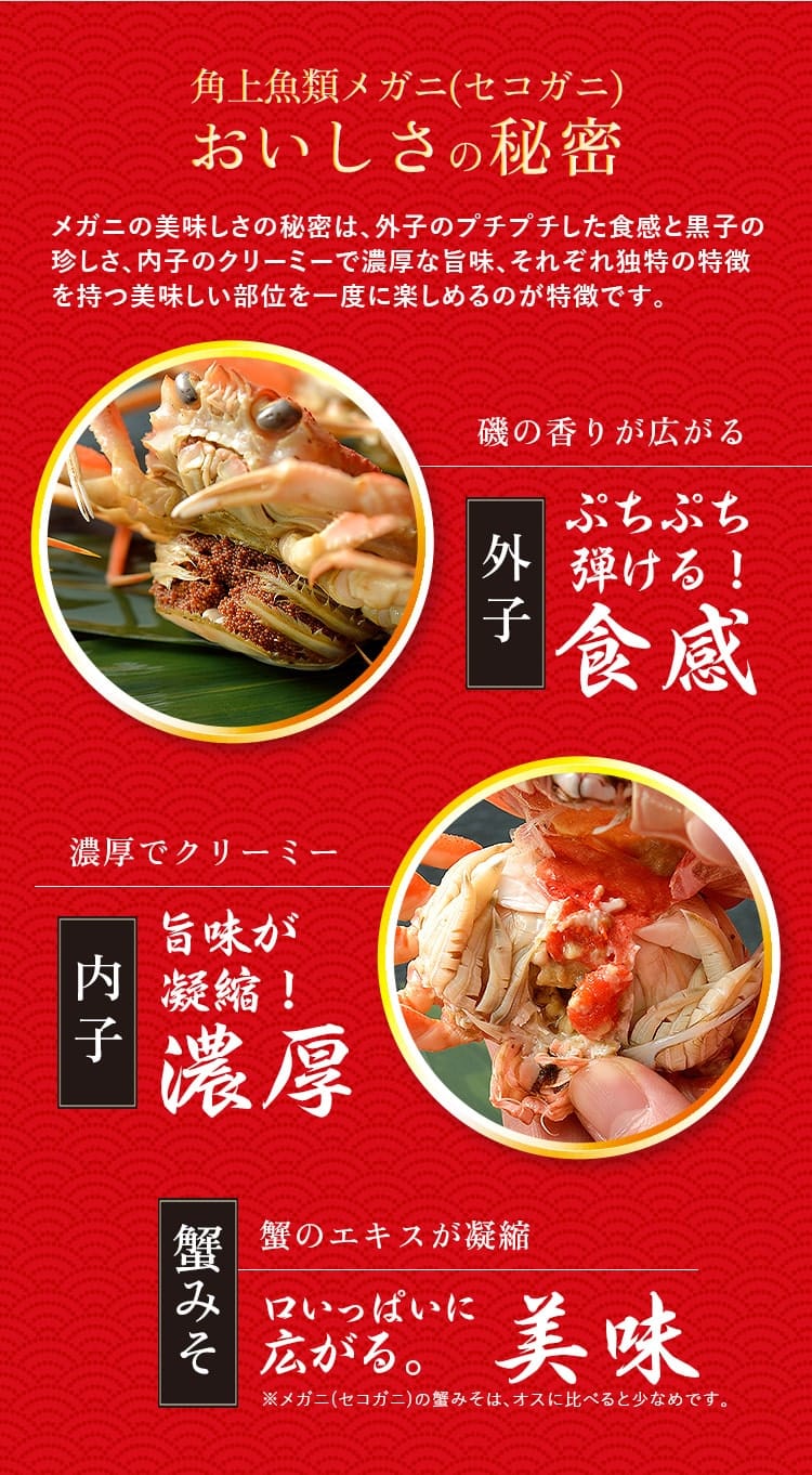 ���������Υҥߥ�