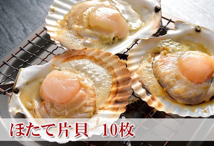 北海道産ほたて片貝　10枚　美味しい魚介類なら　【角上魚類　海鮮ギフト】