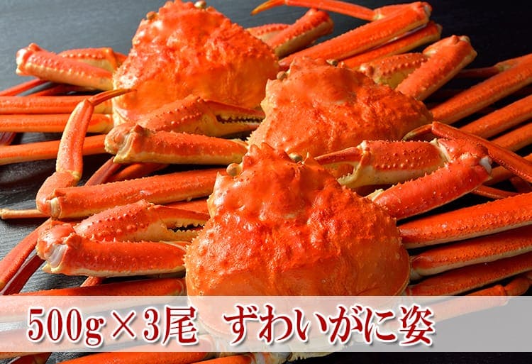 500g ���磻���˻�