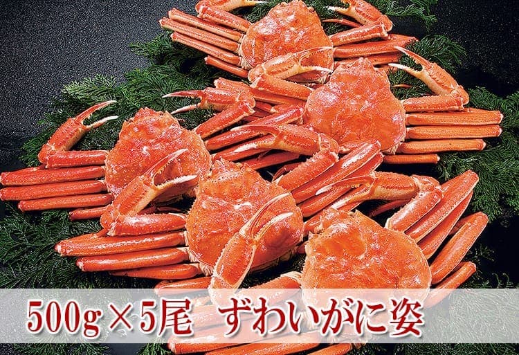 500g ���磻���˻�