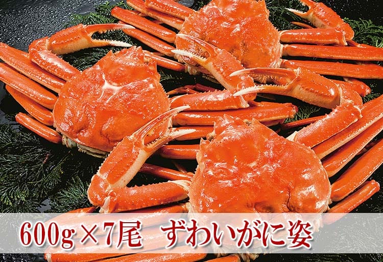 冷凍ずわいがに姿　600g×7尾　海鮮ギフト】　美味しい魚介類なら　【角上魚類