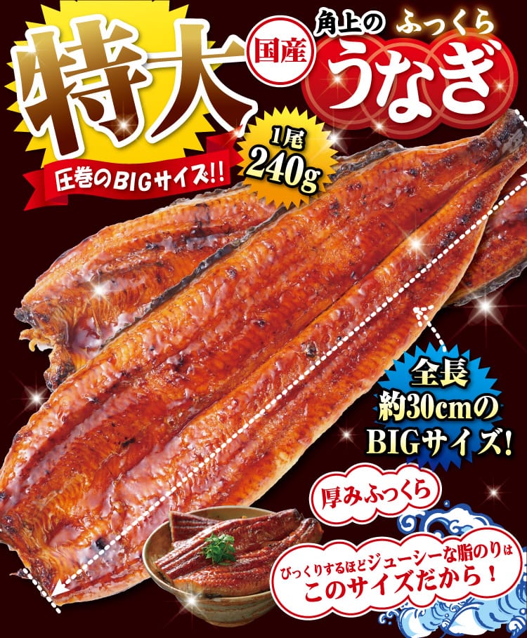 きです 目利きが選んだ 業務用 仙台水産グループ海鮮市場 - 通販 - PayPayモール うなぎ蒲焼き 5kｇ(20尾) 特大サイズ 中国産 カラメル