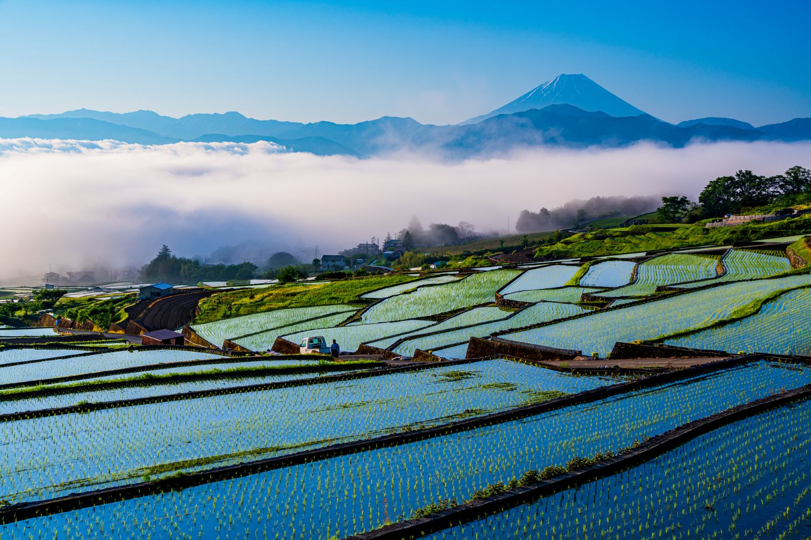 富士山写真