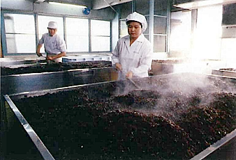 国産茎わかめのピリ辛煮(トレー) 120g | 佃煮 | カメヤオンラインショップ