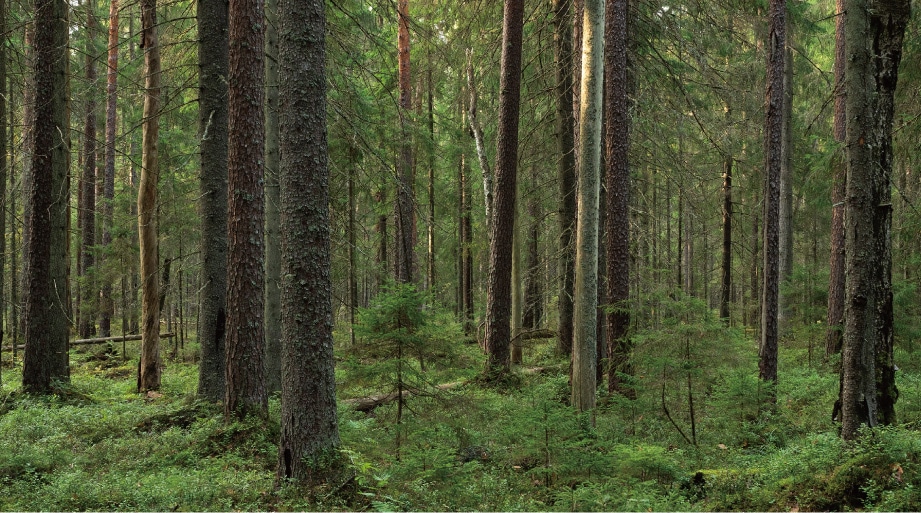 ���������������¢������