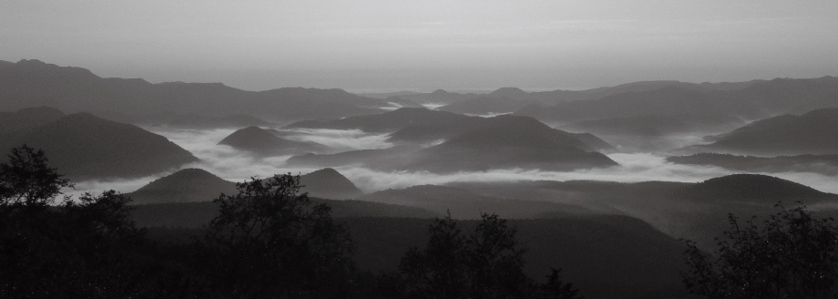 ���������������¢������