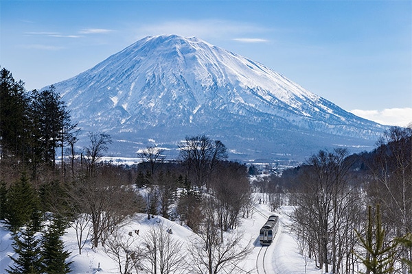 雪の観音郷　北海道産訳あり男爵40キロ JR北海道×上川大雪酒造 コラボ日本酒「旅して」