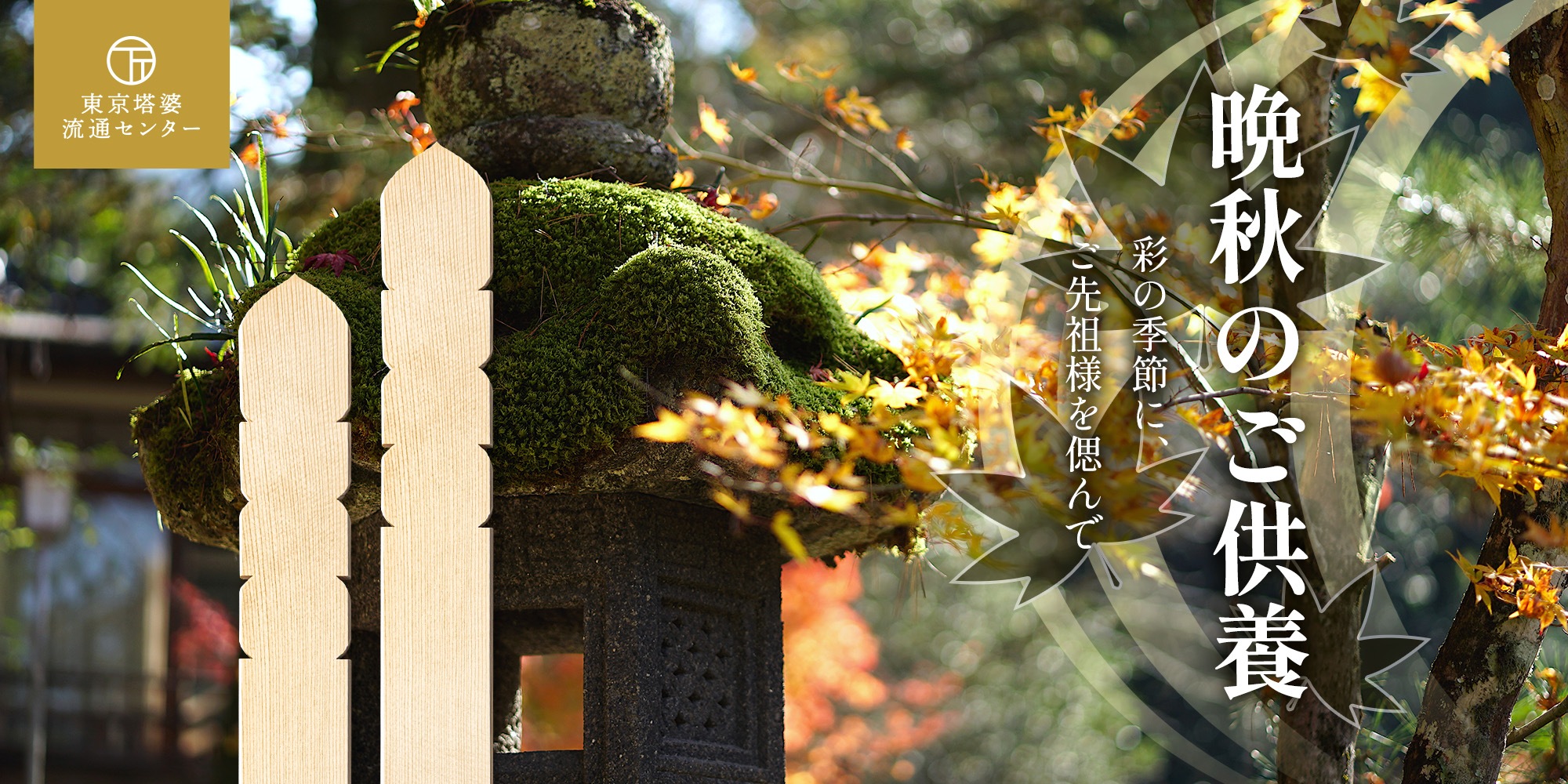 秋のご供養。色鮮やかな紅葉の庭園を背景に、ご先祖様への感謝と祈りを形にする供養のご案内。