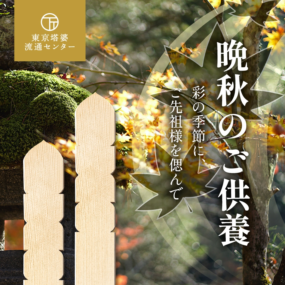 秋のご供養。色鮮やかな紅葉の庭園を背景に、ご先祖様への感謝と祈りを形にする供養のご案内。