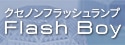 USHIO クセノンフラッシュランプ FLASH BOY