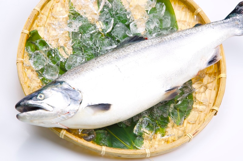 上品なさくらますの味と昆布のうま味