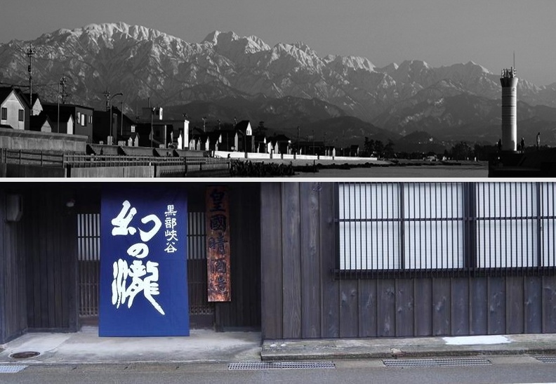 富山のホタルイカ