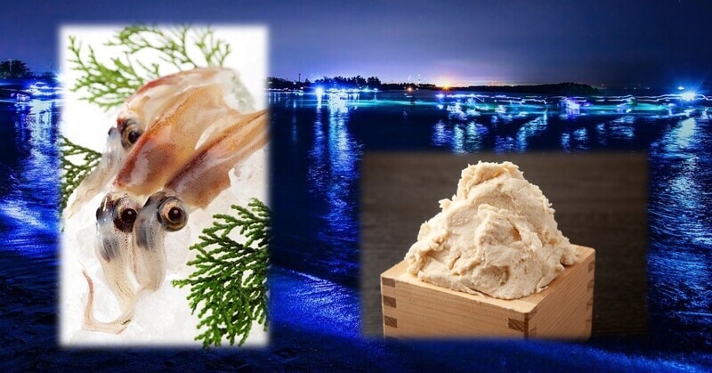 新鮮なホタルイカ