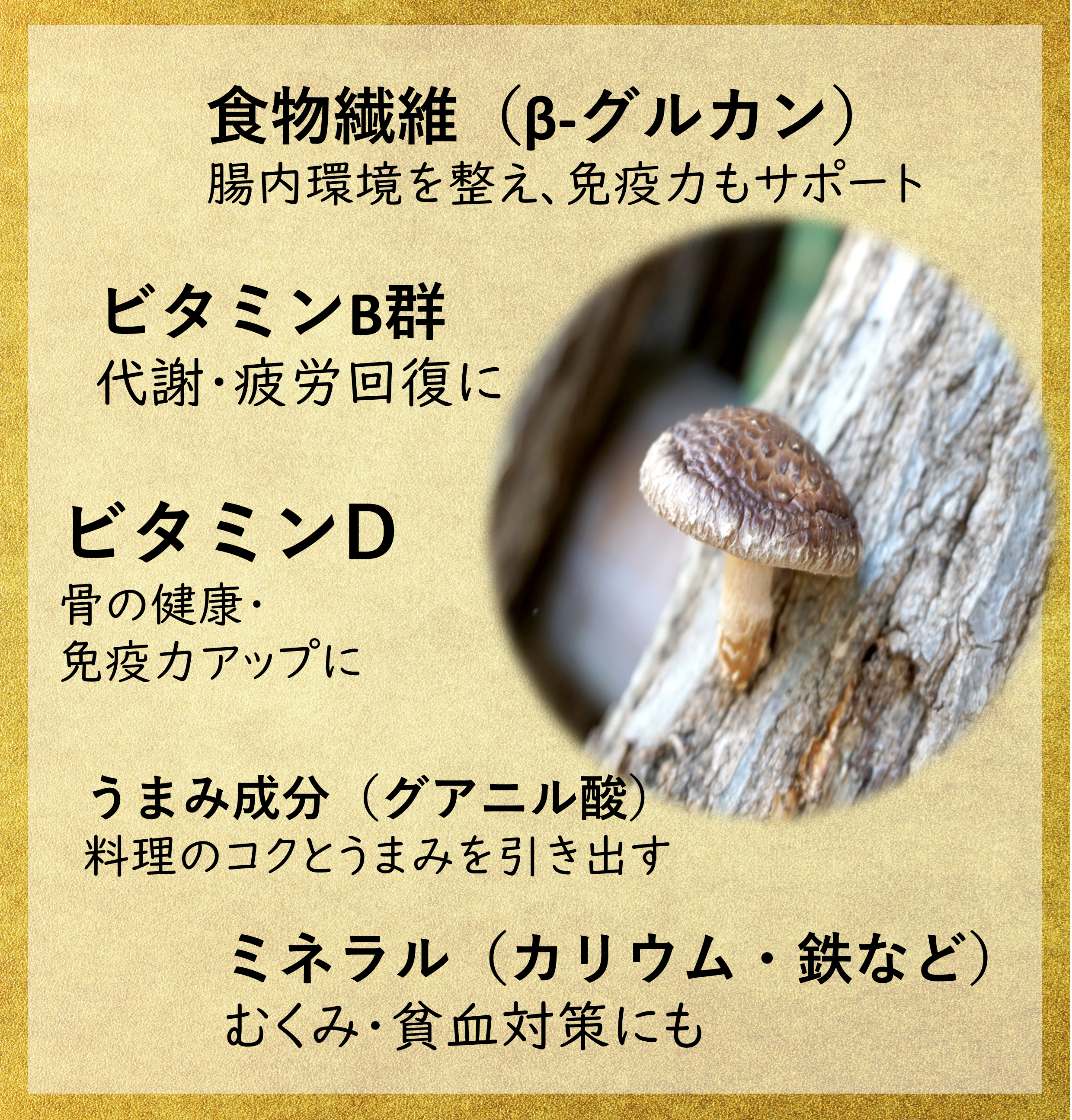食物繊維入 しいたけ茶 3g×8本 | すべての商品 | かね七オンラインショップ