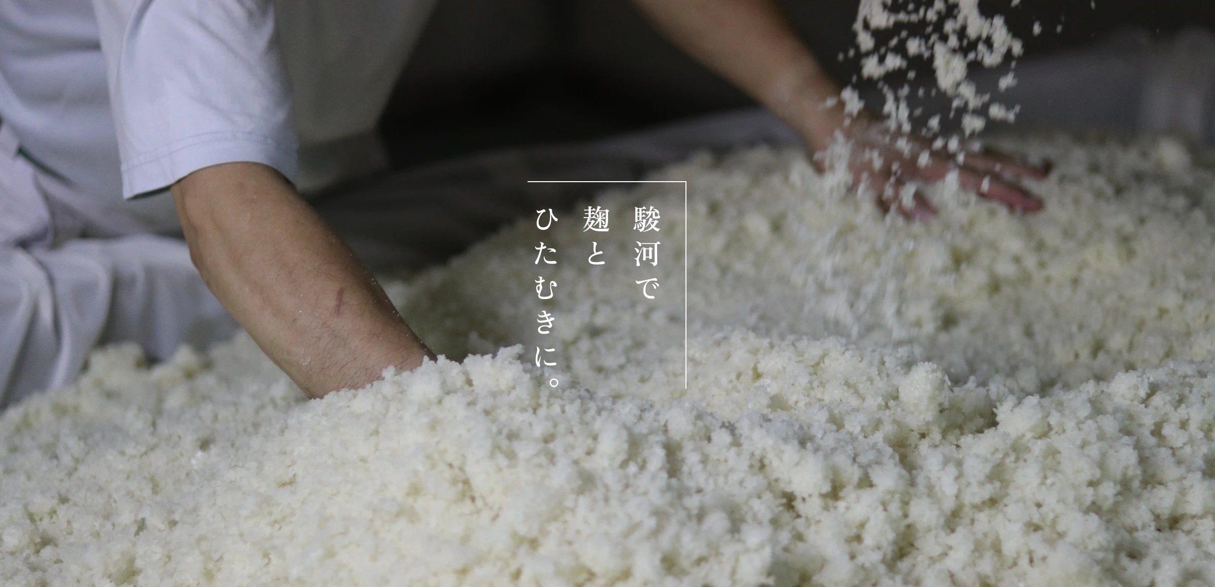 カネジュウ食品 駿河で、麹と、ひたむきに