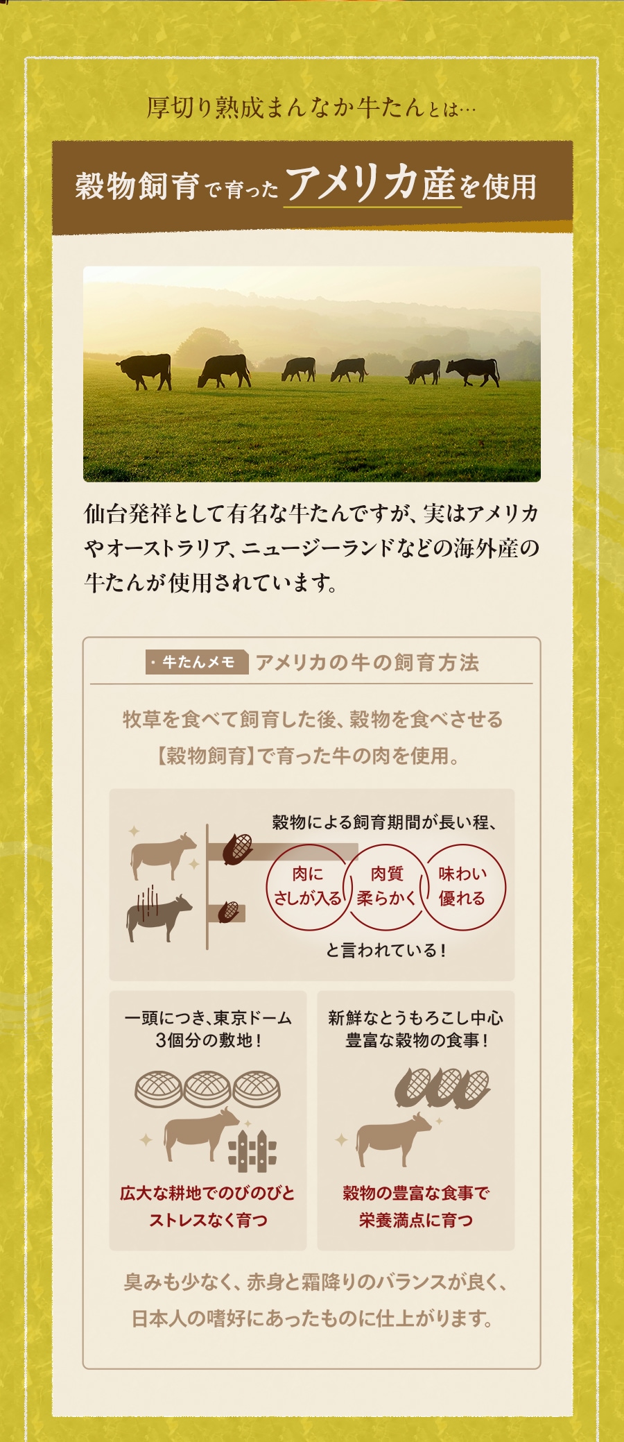 �����ޤ�ʤ�������_02