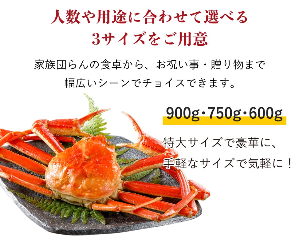 茹でずわいがに 750g×4匹（冷凍） | 商品一覧 | 北畿水産 かに一番