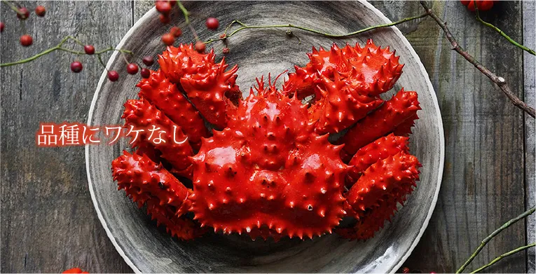 �ӥ��ˡ�����Х��ˡ����磻���ˡ��ֺ饬��
