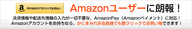 amazonペイメントに対応しました。