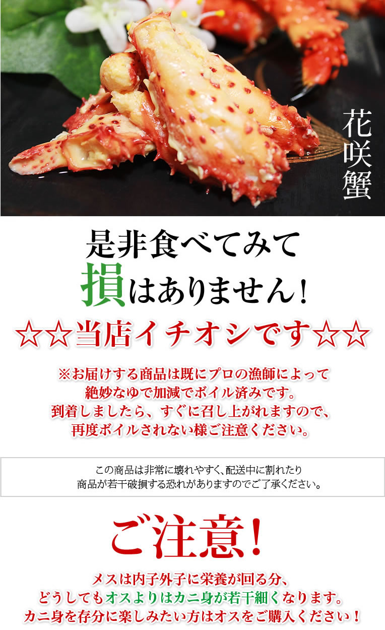 通販サイト東京 12/24到着希望 大人気‼️トゲズワイガニ 1.5kg - 食品