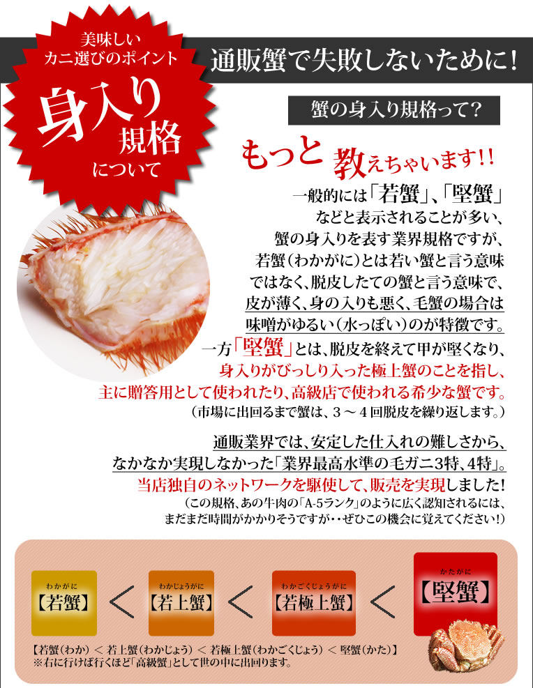 美味しい蟹選びのポイント！身入り規格について　通販蟹で失敗しないために！