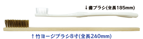 歯ブラシとの全長比較／竹ヨージブラシ8寸
