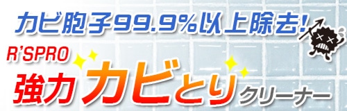 リンレイ R'SPRO強力カビとりクリーナー 5kg×3本 | 10：カビ対策製品