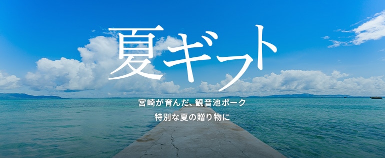夏ギフトセール