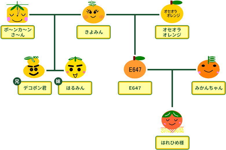 柑橘類の系統図