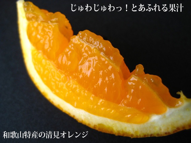 清見オレンジの溢れる果汁