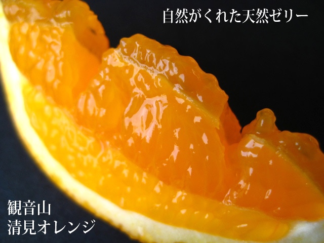 天然ゼリー・清見オレンジ