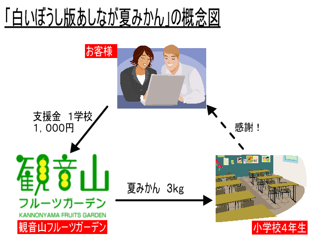 白いぼうしの概念図