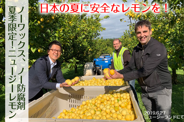 日本の夏に安全なレモンを