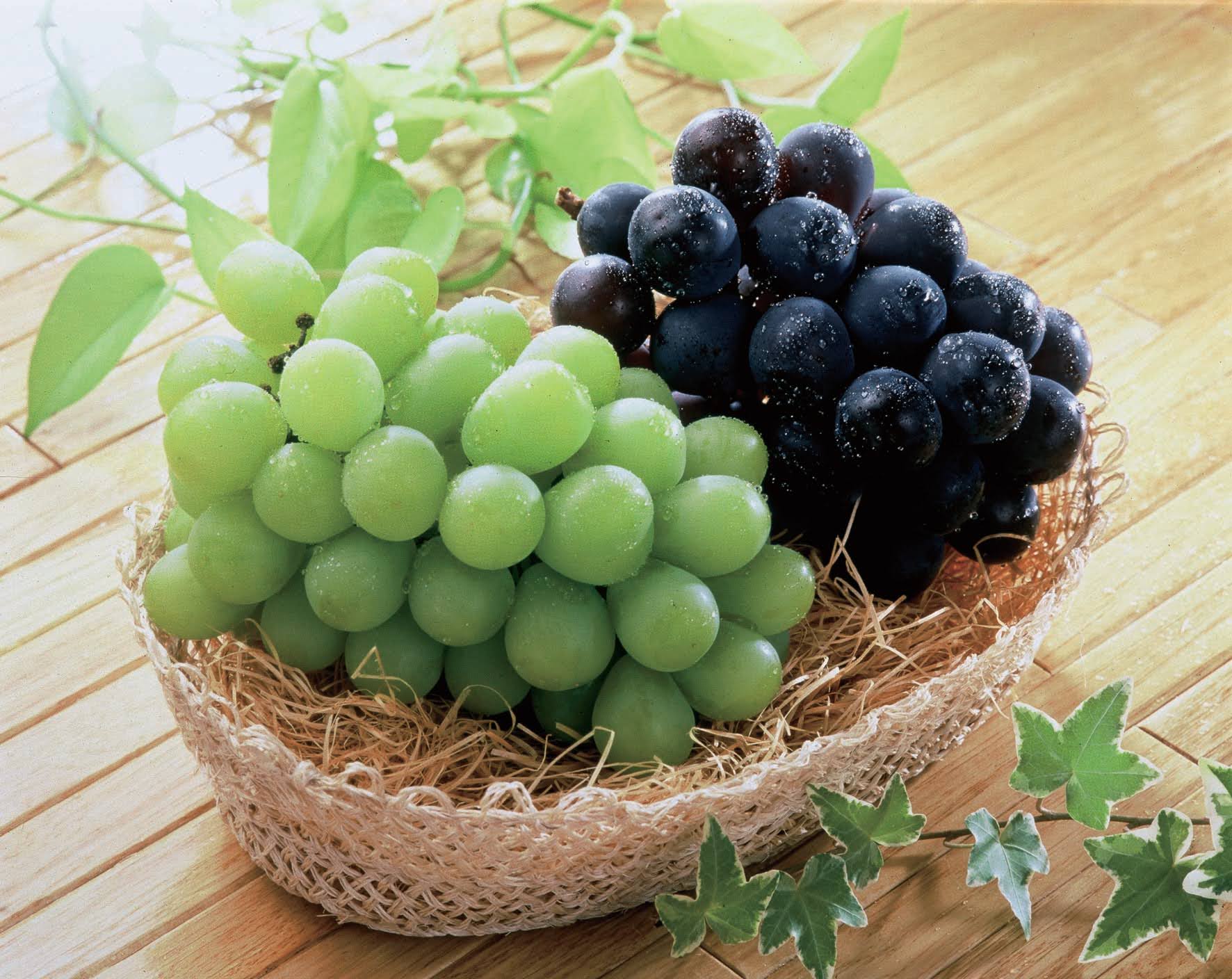 9/18(月)申込締切】＿秋のぶどう🍇 