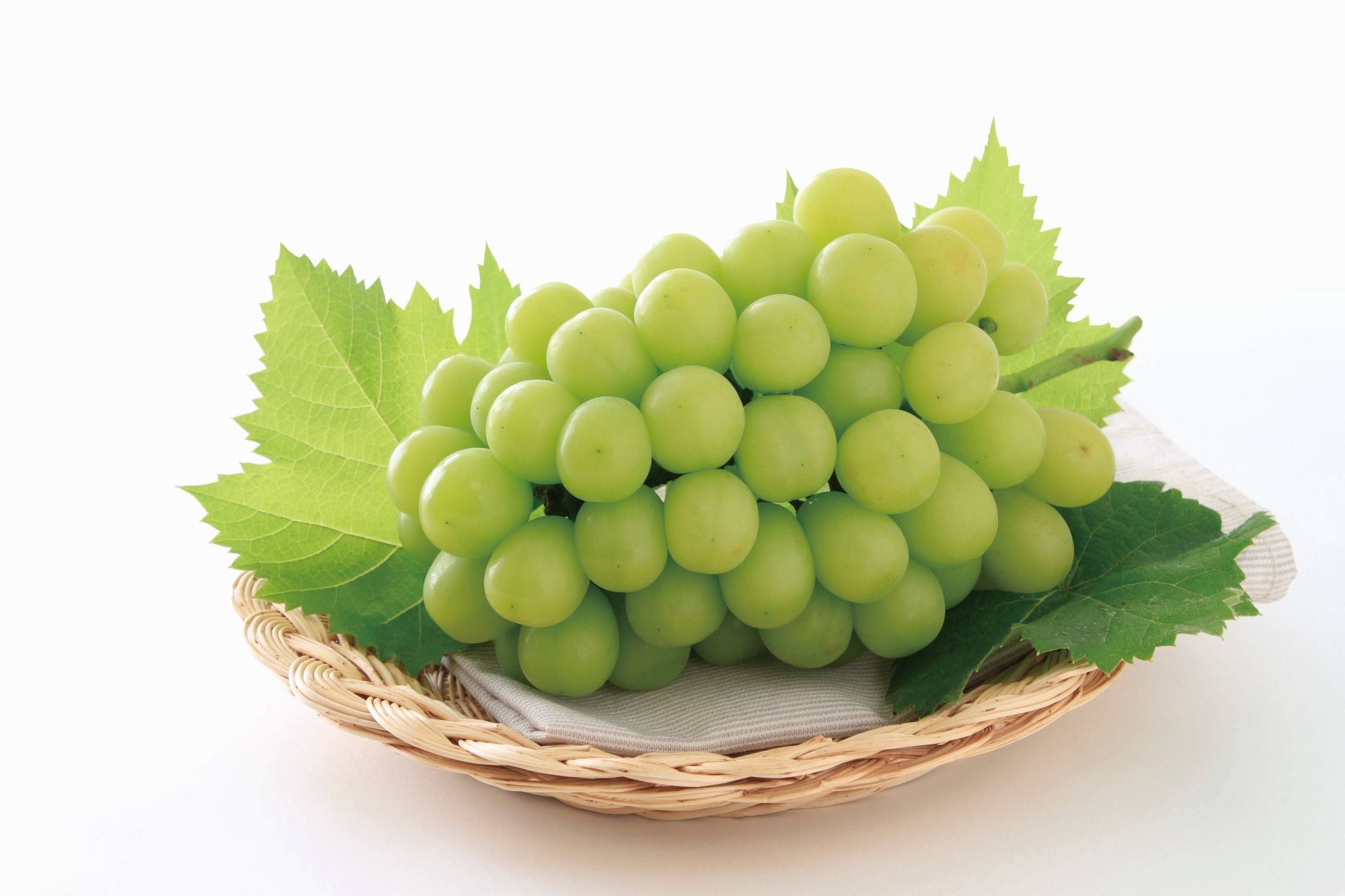 岡山の葡萄(6商品)🍇7月31日申し込み締め切りです！／