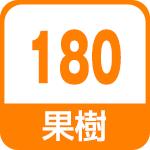 果樹180
