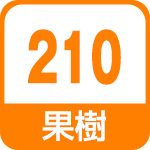 果樹210