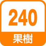 果樹240