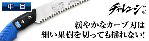 チャレンジ