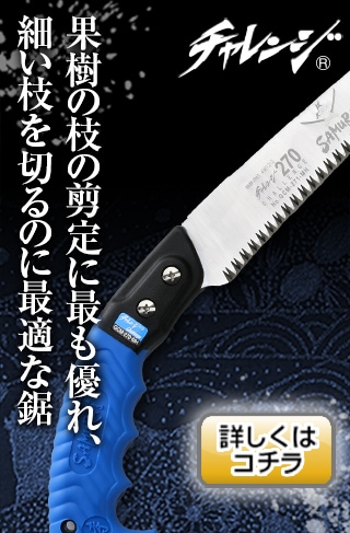 チャレンジ