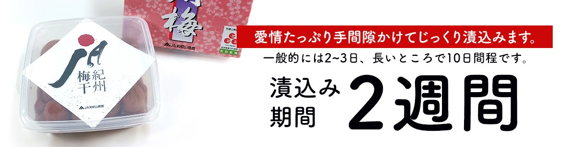 漬込み2週間