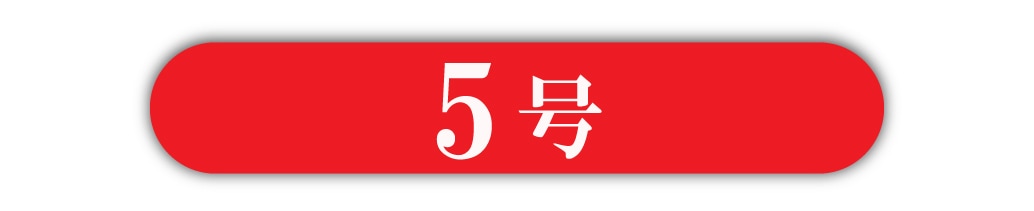 5号